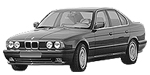 BMW E34 C20D0 Fault Code